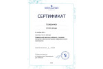 СКАН 06