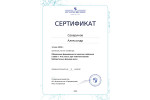 СКАН 08